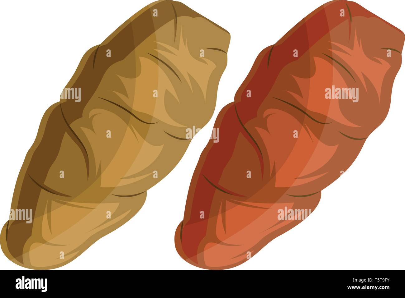 Dark yellow and orange yam roots vector illustration of vegetables on ...