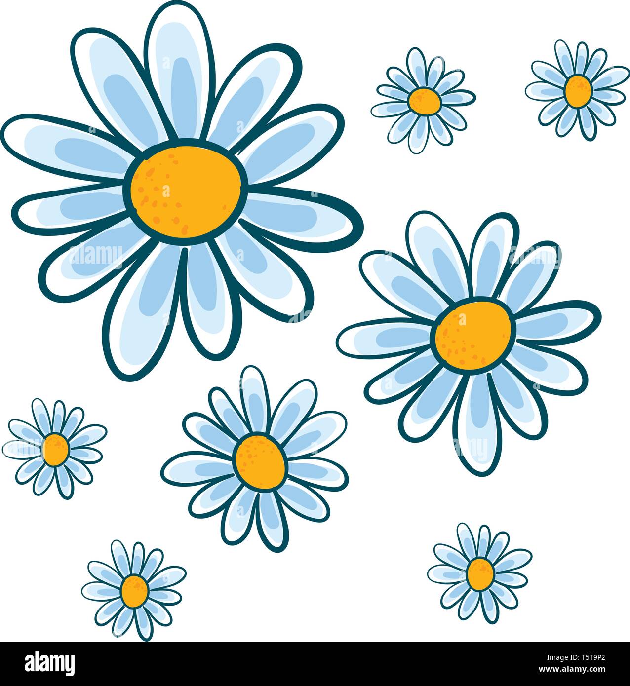 White chamomile flowers vector illustration on white background. Stock Vector