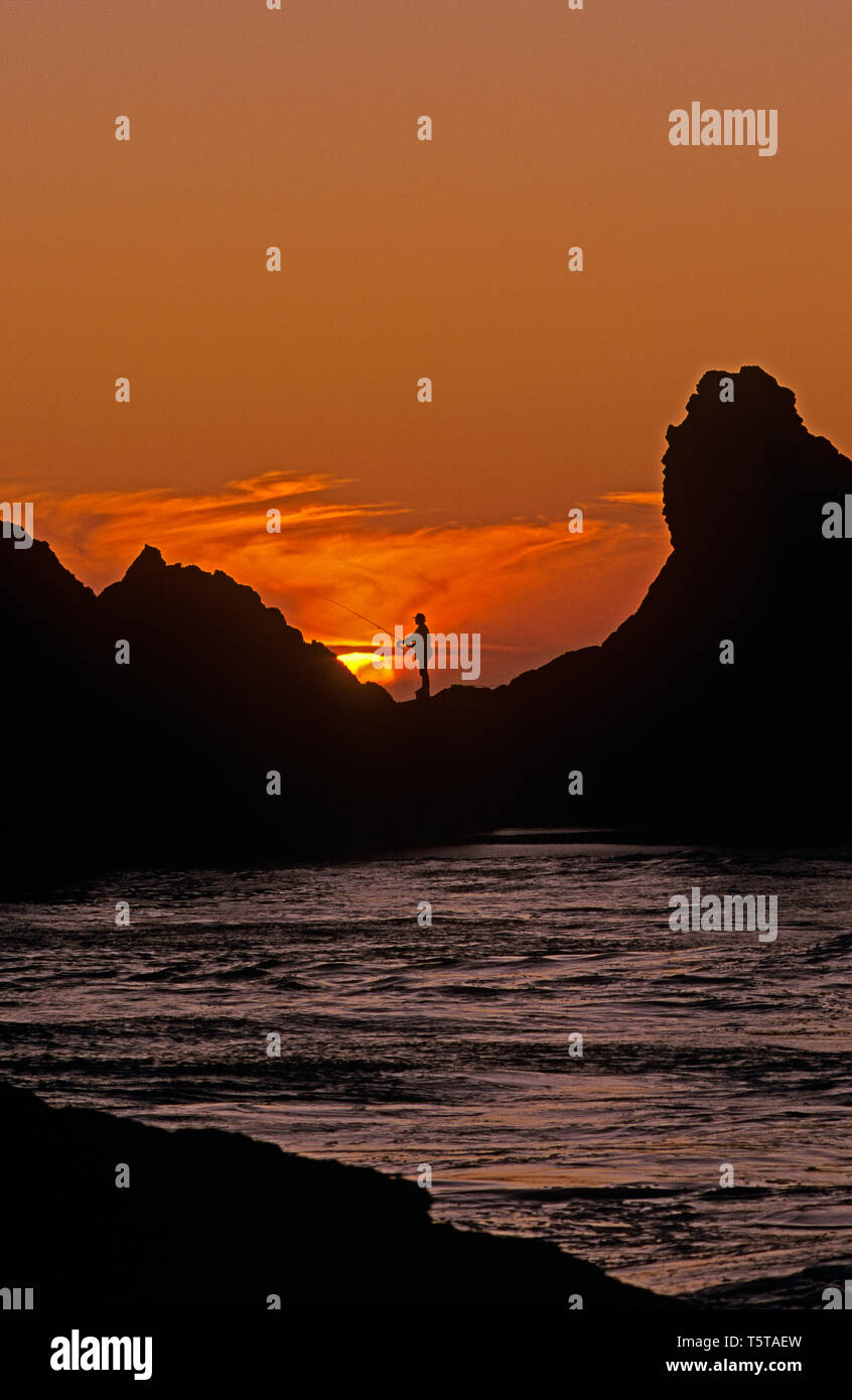 Harris beach state park hi-res stock photography and images - Alamy