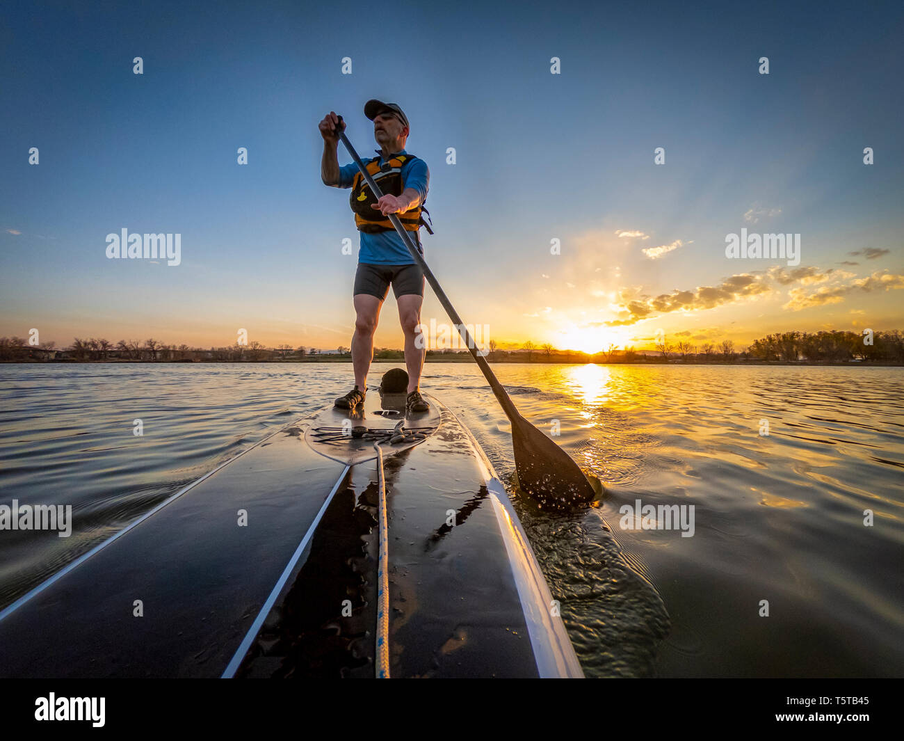 athletic senior man paddling a stand up paddleboard at sunset on a calm lake in Colorado, bow view Stock Photo