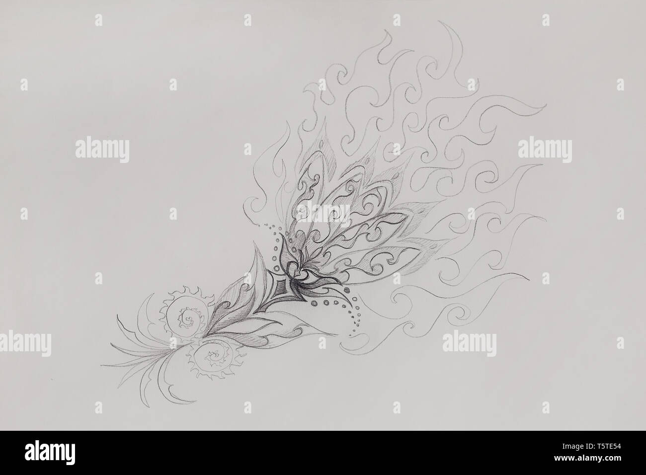 Ornamental Drawing. Original hand draw on paper Stock Photo Alamy