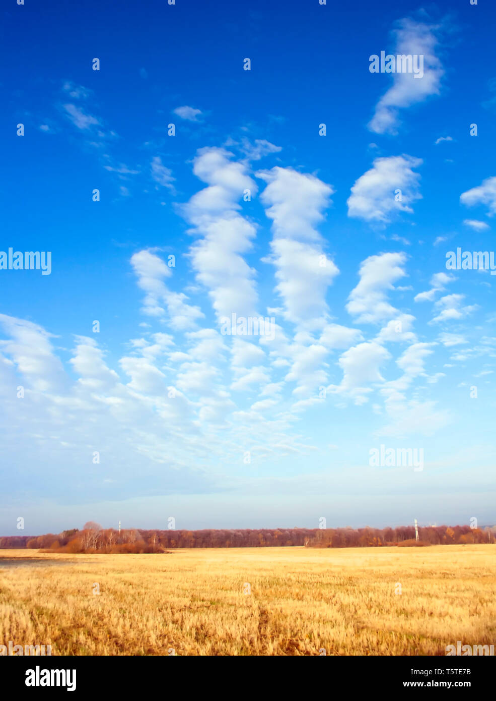 Autumn landscape. Blue sky with white clouds above field Stock Photo ...
