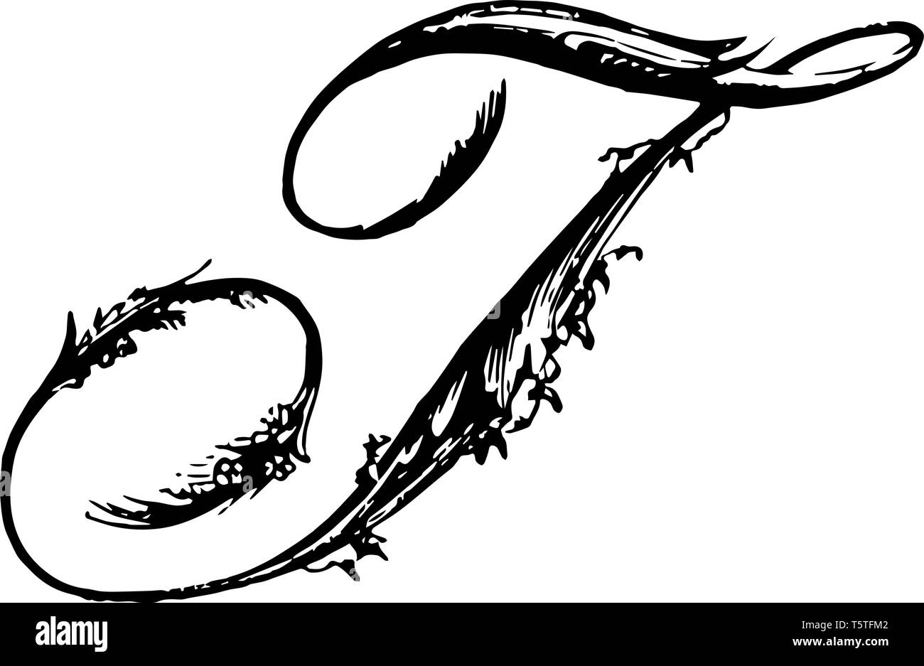A picture of a decorative capital letter T with ornamental script, vintage  line drawing or engraving illustration Stock Vector Image & Art - Alamy