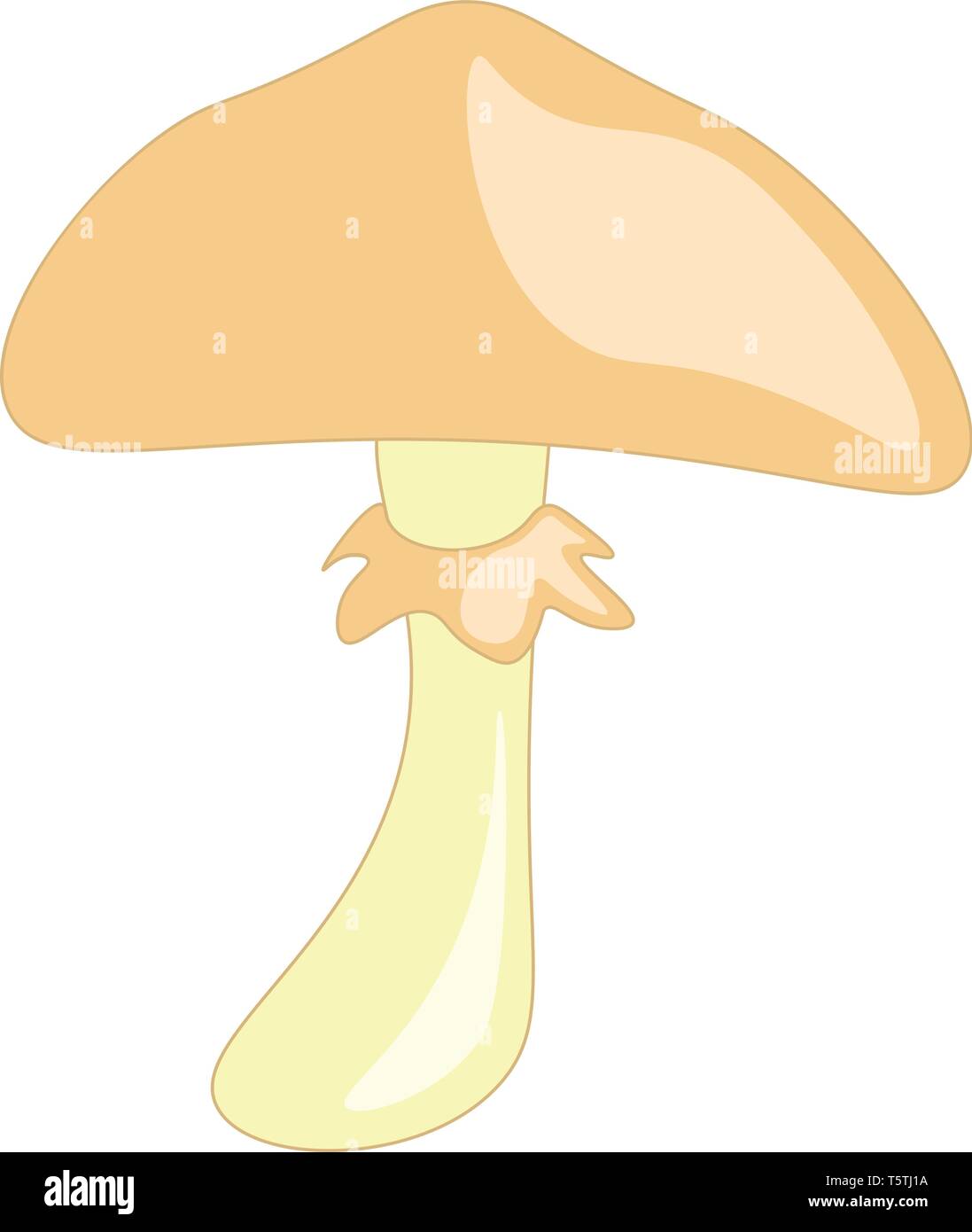 An umbrella shaped fungi known as mushroom vector color drawing or