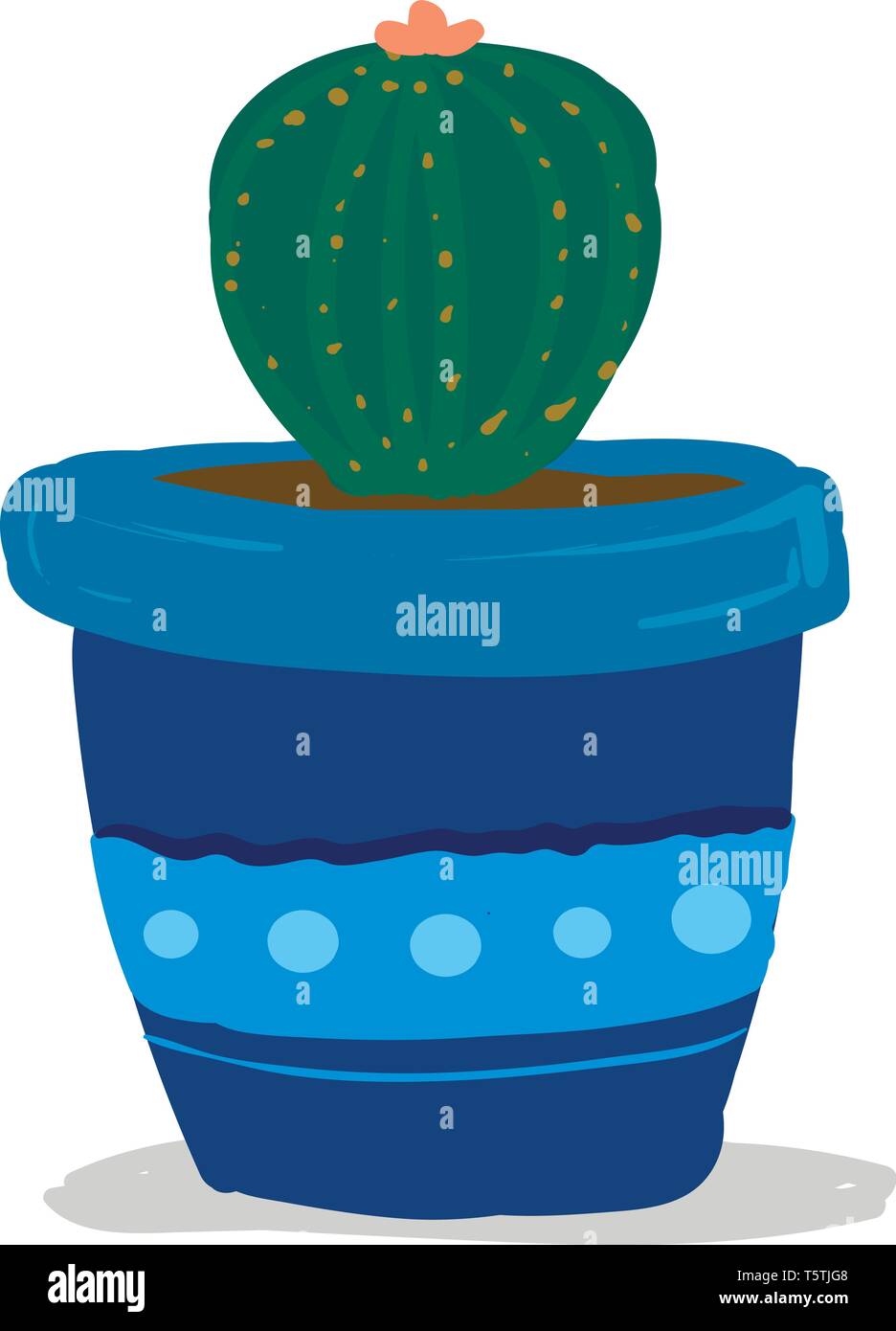 Cactus potted in bright blue flower pot vector or color illustration