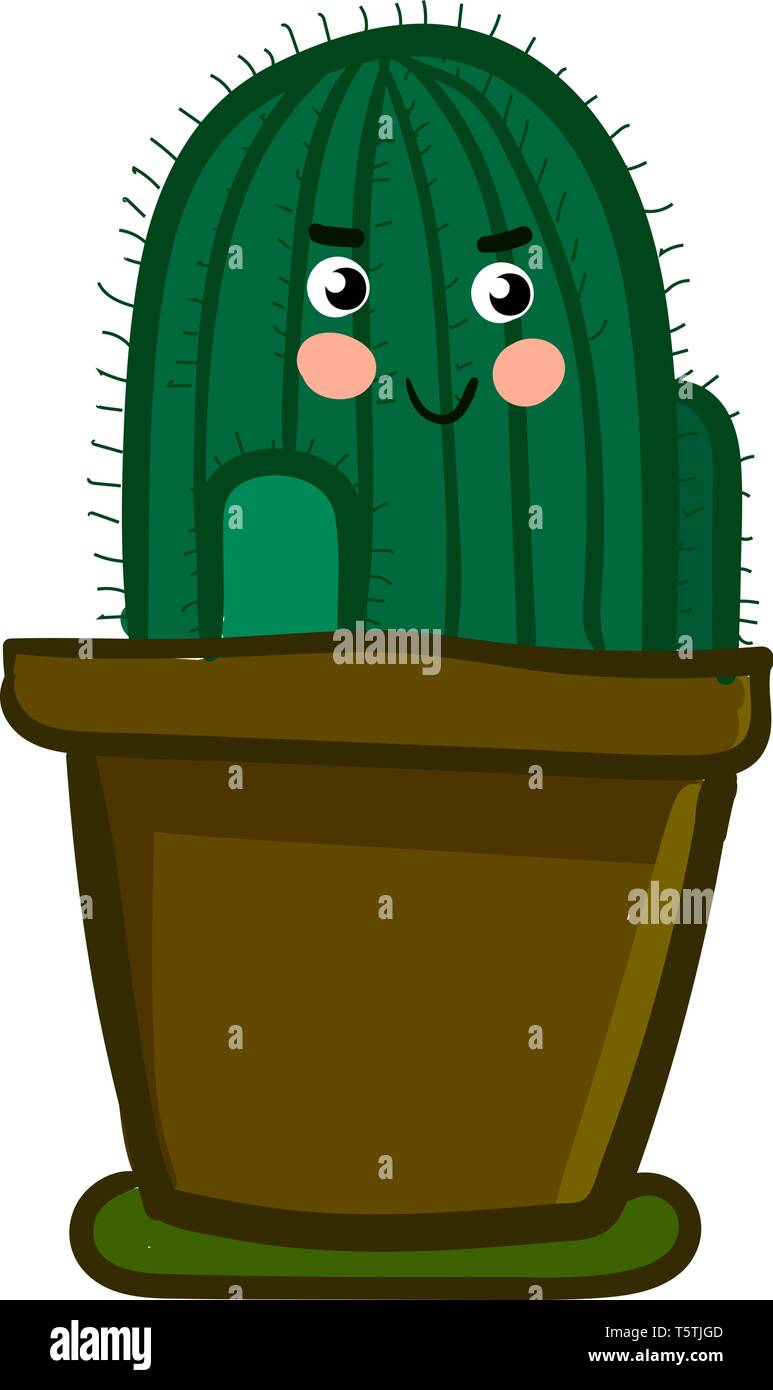 Indoor Decorative Cactus Plant Vector Or Color Illustration Stock