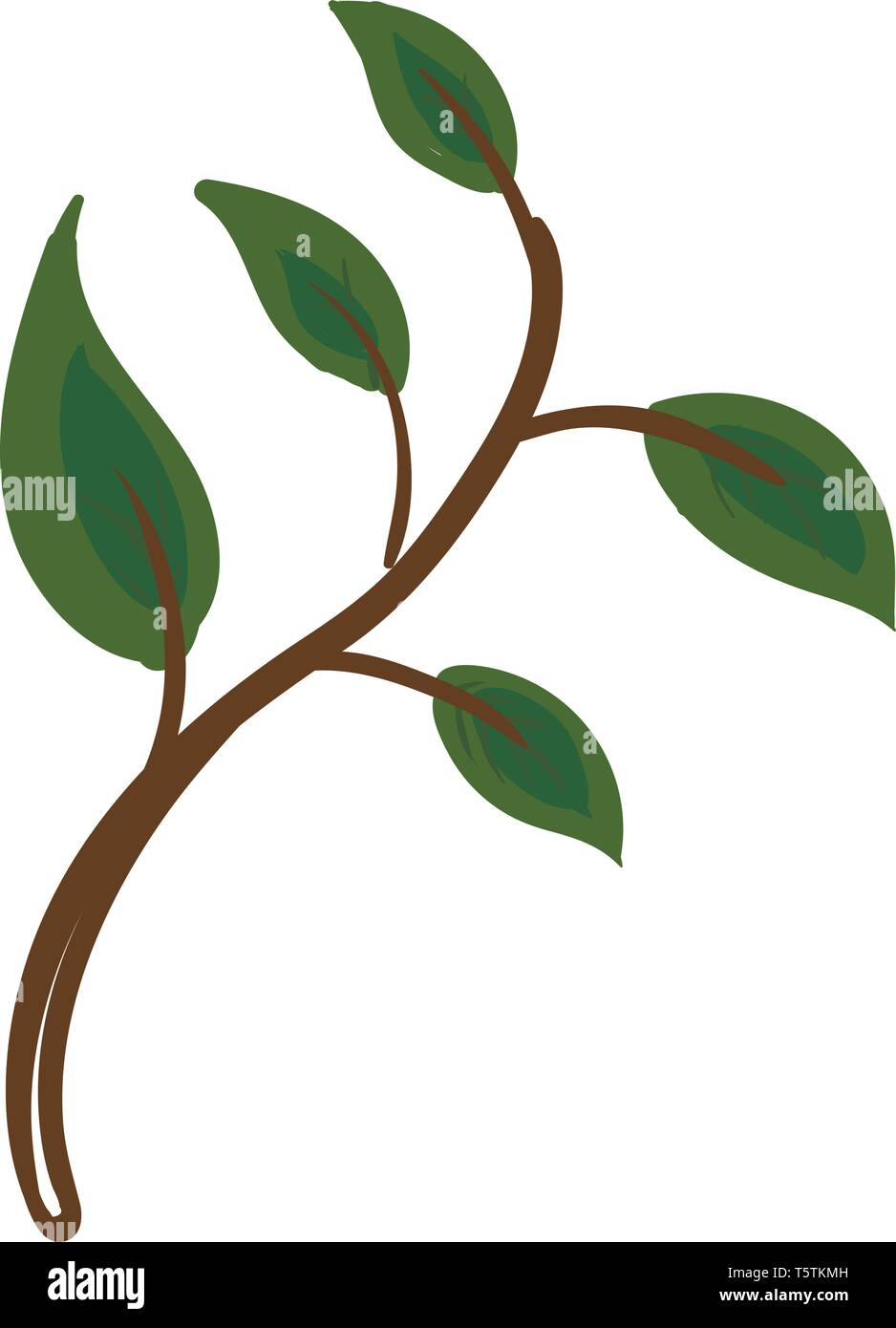 The picture of green leaves that have flat surfaces and blunt tips vector color drawing or illustration Stock Vector