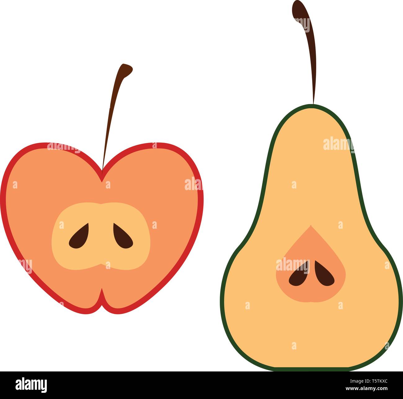 Oval shaped fruits Stock Vector Images Alamy