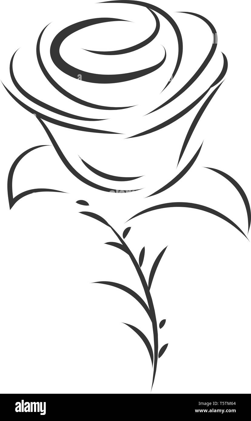 Simple black and white sketch of rose flower vector illustration on