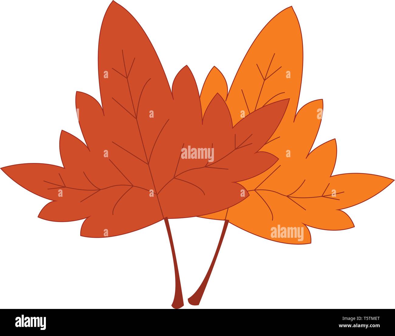 Dried yellow and red leaves print vector on white background Stock Vector