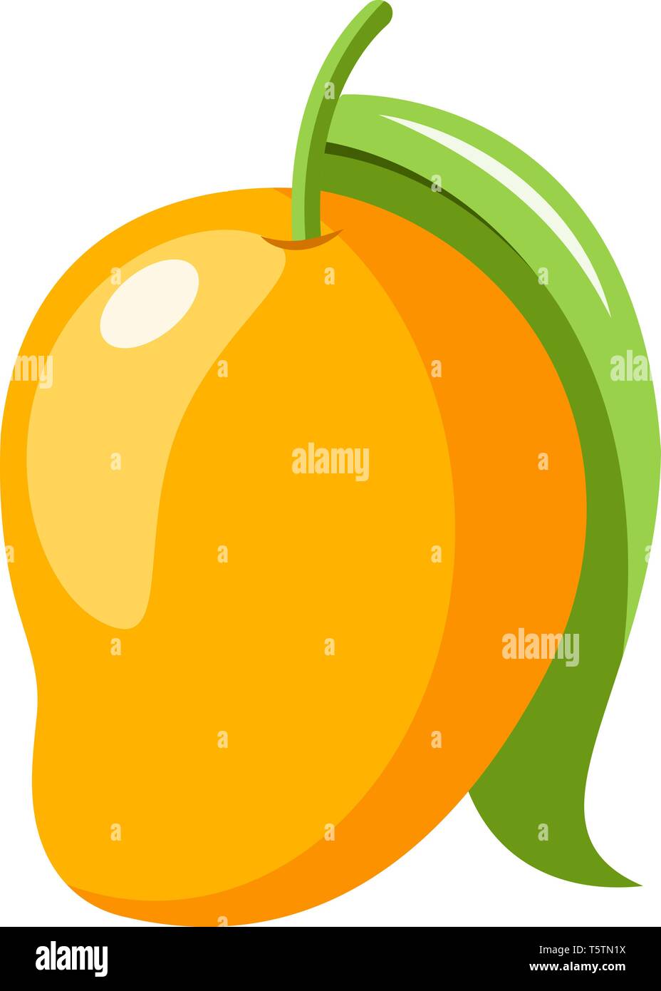 A Yellow colored mango with green leaf, vector, color drawing or