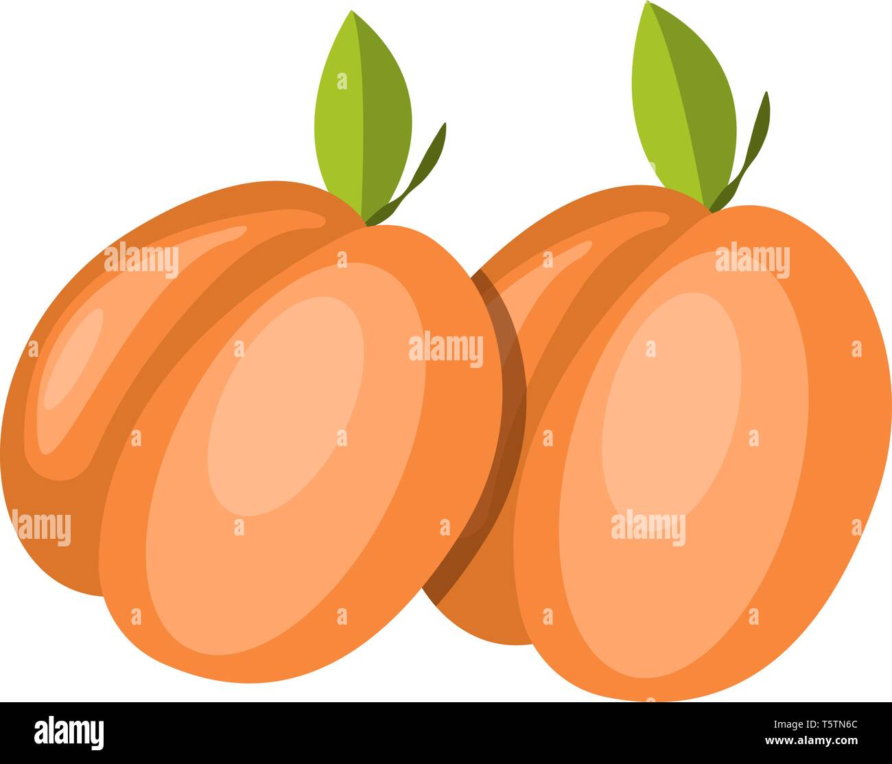 Two Red fruits with green leaves on top vector color drawing or