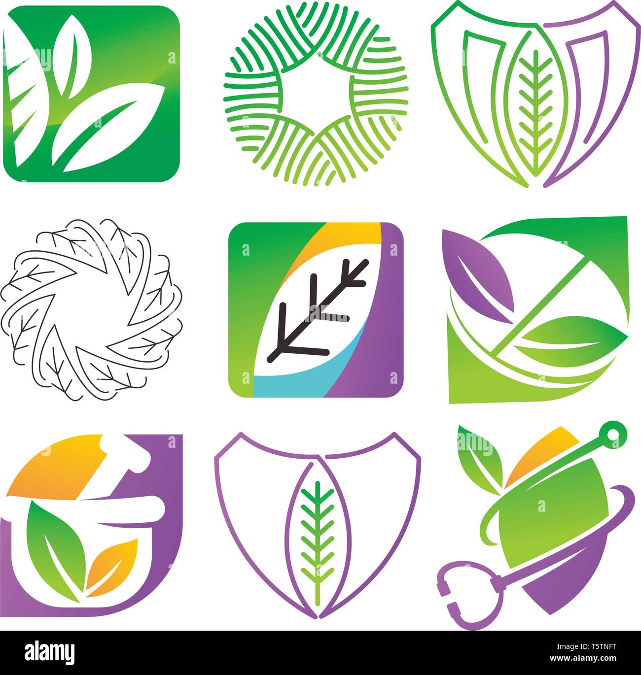 Leaf Logo Design Vector Template Set Stock Vector Image & Art - Alamy