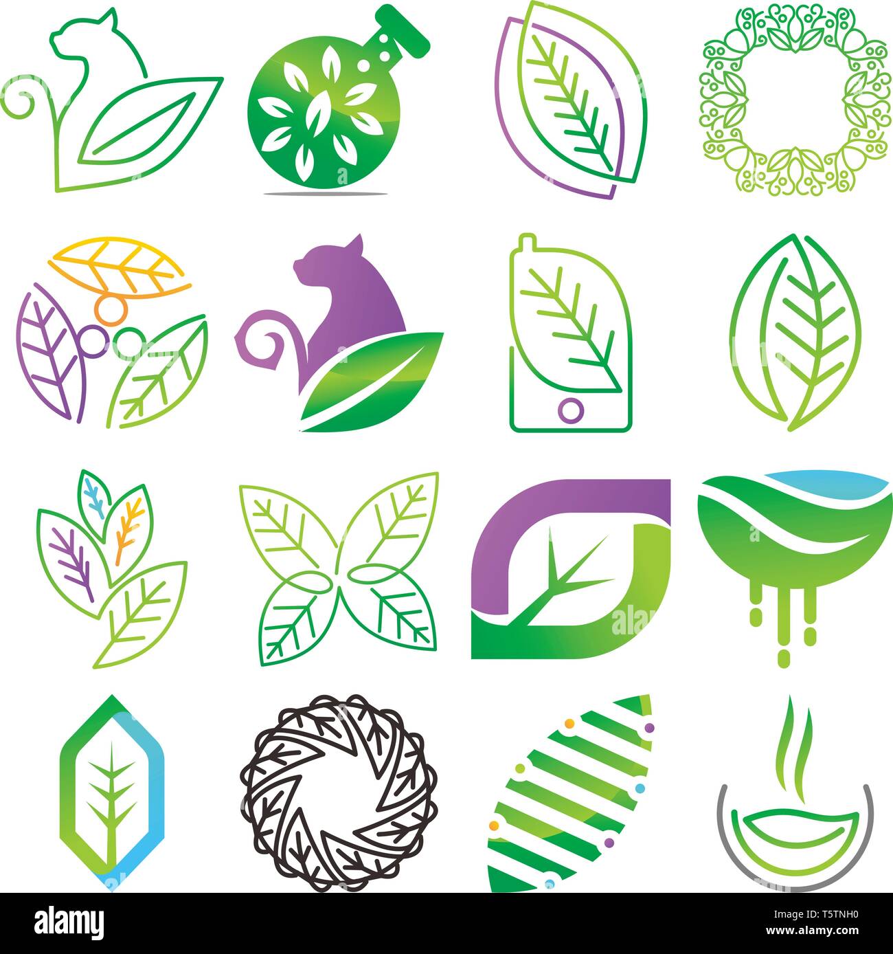 Leaf Logo Design Vector Template Set Stock Vector Image & Art - Alamy