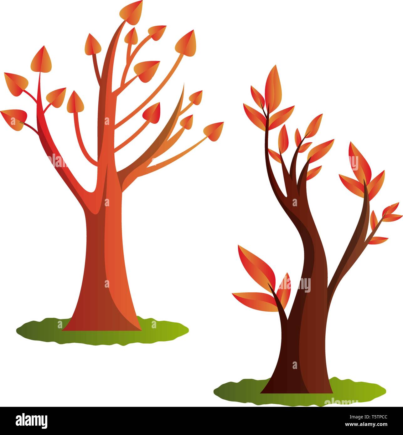 Two autumn tree vector illustration on white background Stock Vector ...