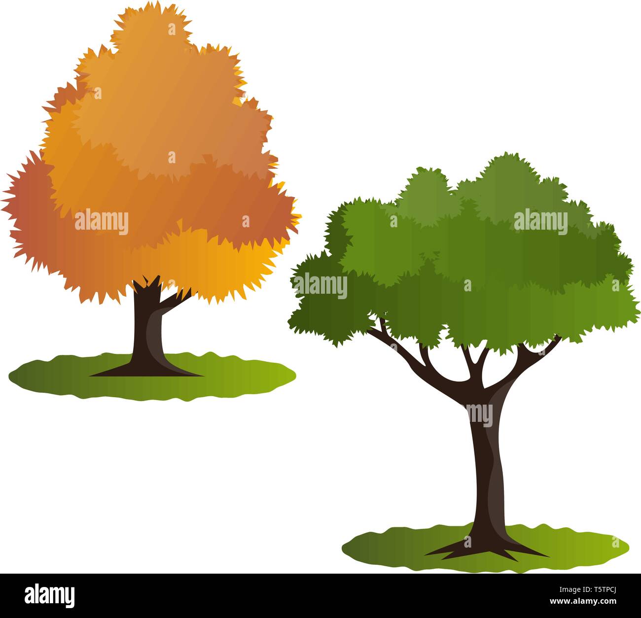 Two autumn tree vector illustration on white background Stock Vector ...