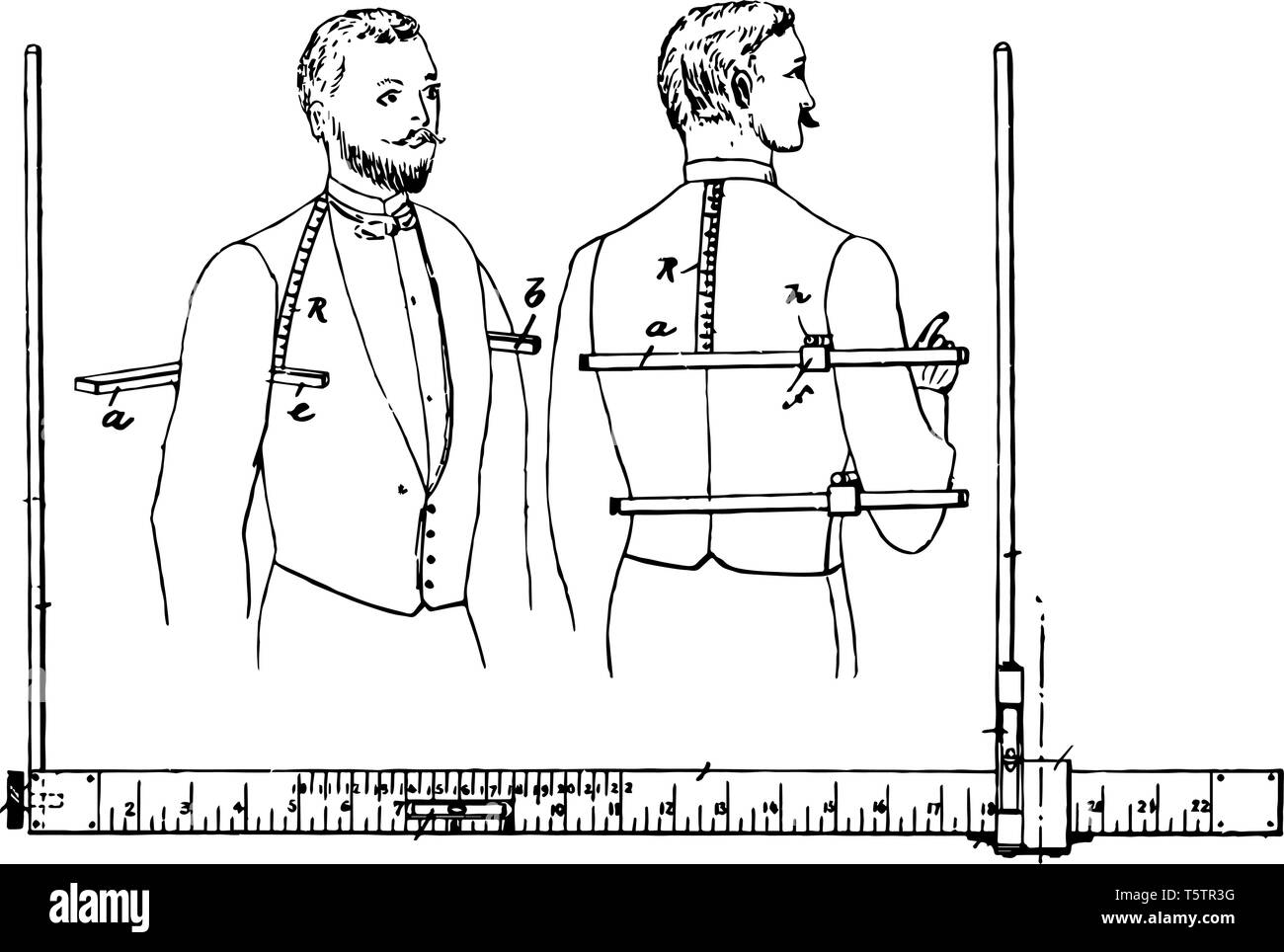 This illustration represents Gradually Marked Tailors Measure, vintage