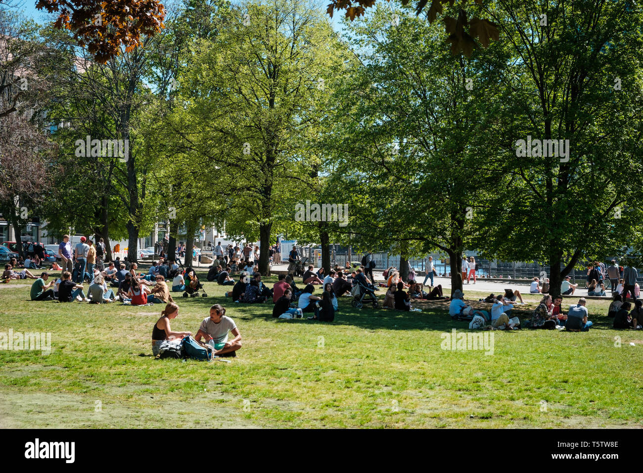 Berlin, Germany - April, 2019: Young people on meadow in park on a sunny, summer day in Berlin Stock Photo