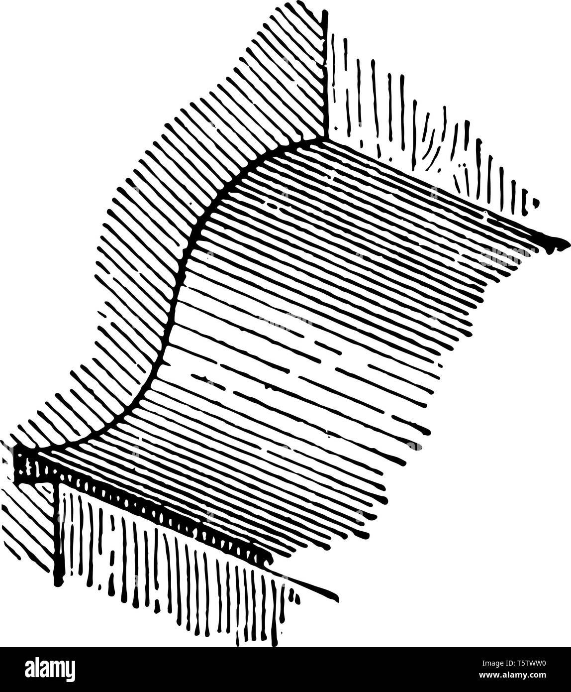 Quirk Molding is extreme projection decorative strip ornamentation