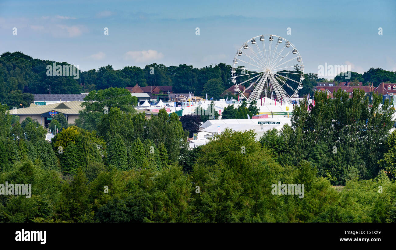 High view over treetops of showground under blue sky in summer (marquees & towering big wheel) - Great Yorkshire Show, Harrogate, England, UK. Stock Photo