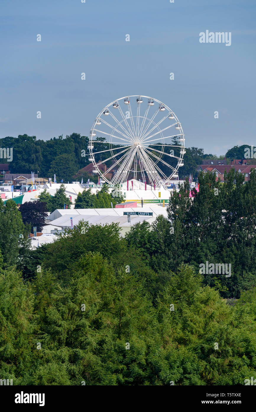 High view over treetops of showground under blue sky in summer (marquees & towering big wheel) - Great Yorkshire Show, Harrogate, England, UK. Stock Photo