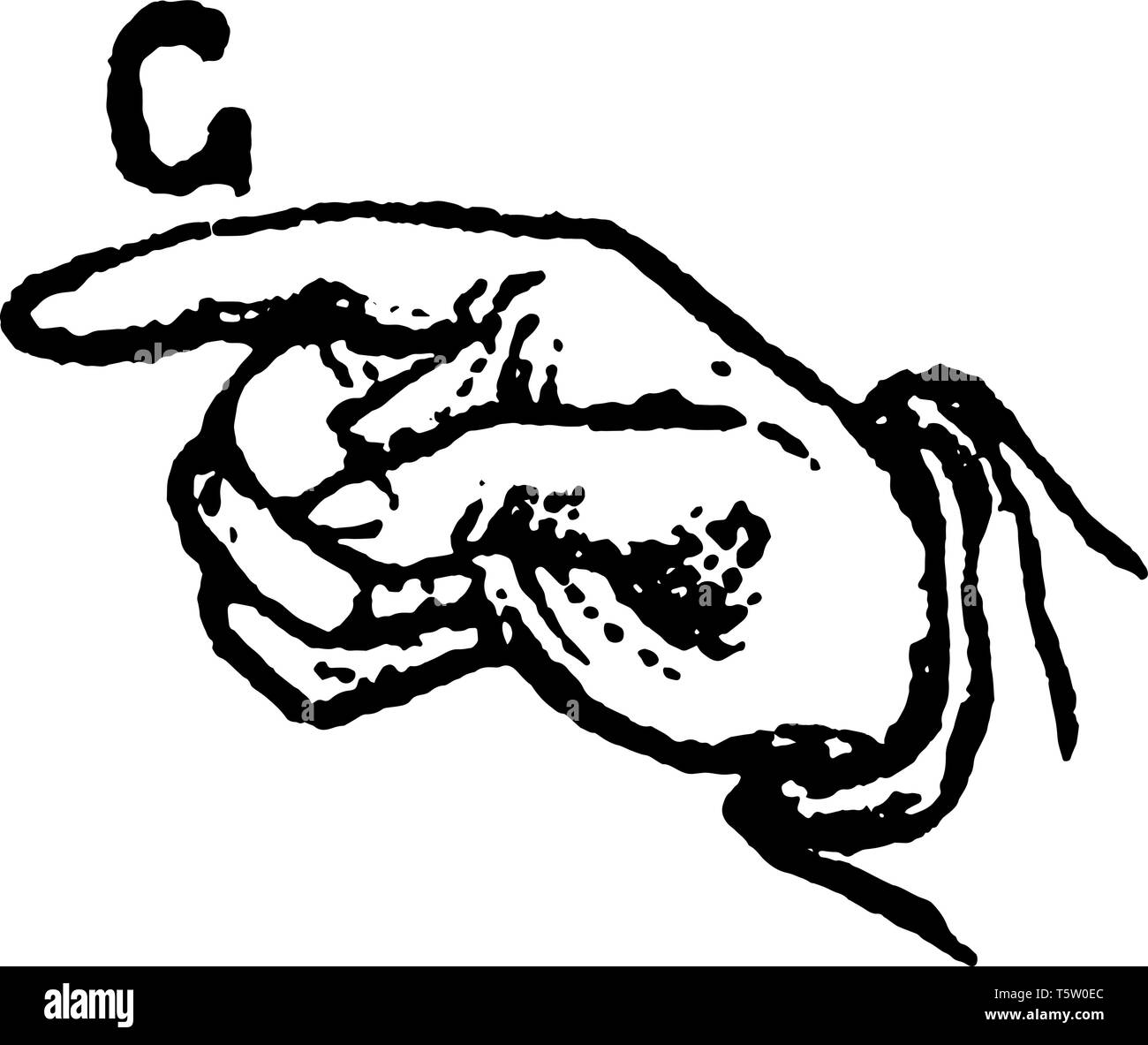 This illustration represents one handed Sign for G, vintage line drawing or engraving illustration. Stock Vector