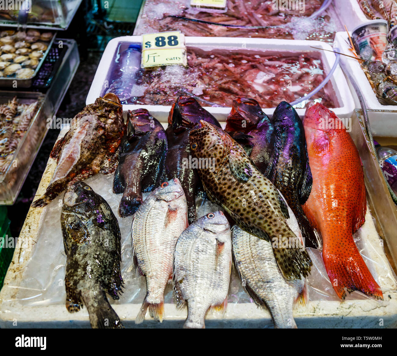 Threadfin Bream on salmon a stall in Hong Kong Stock Photo Alamy