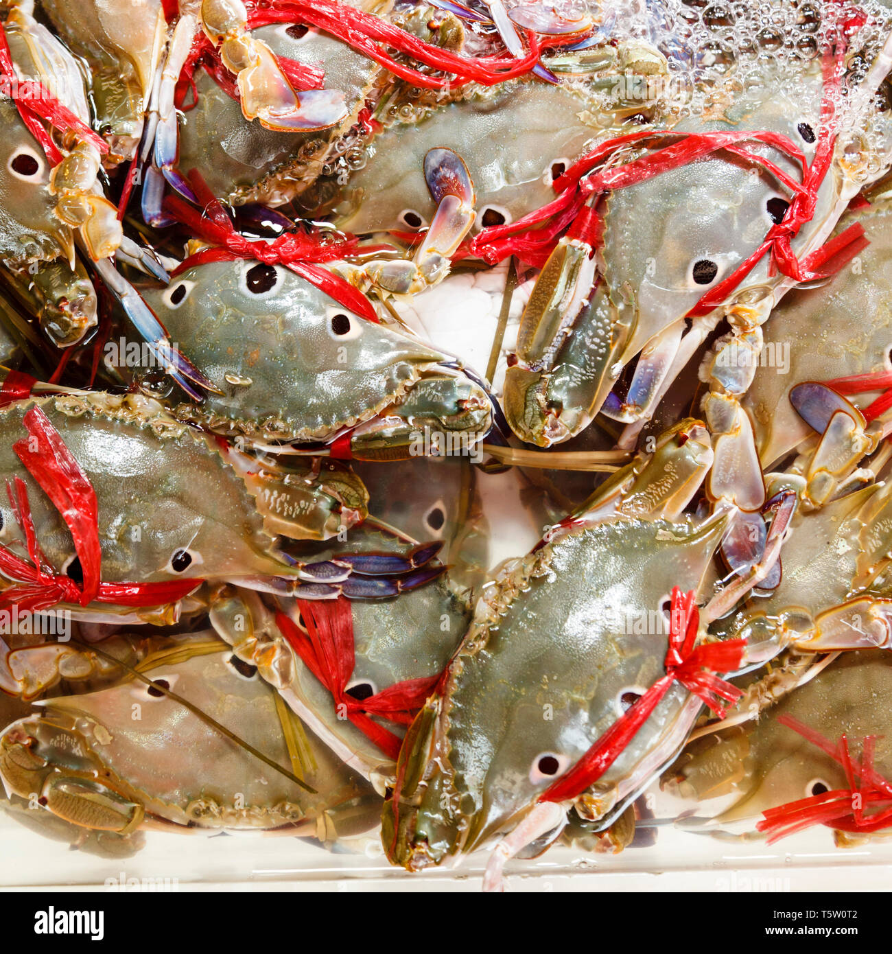 three-spot swimming crabs (Portunus sanguinolentus) on a stall in Hong Kong Stock Photo
