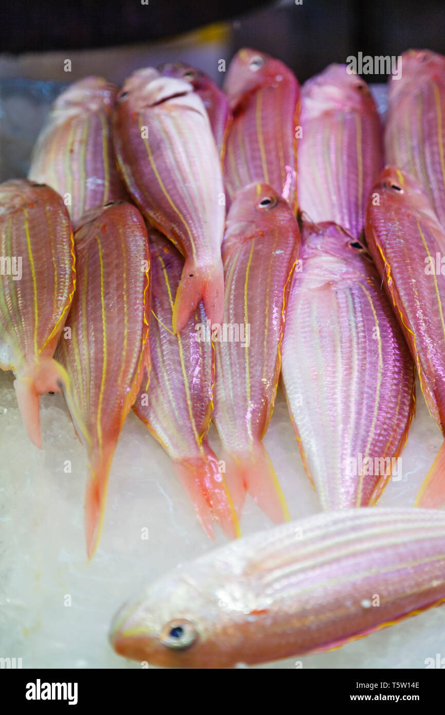 Threadfin bream hi-res stock photography and images - Alamy