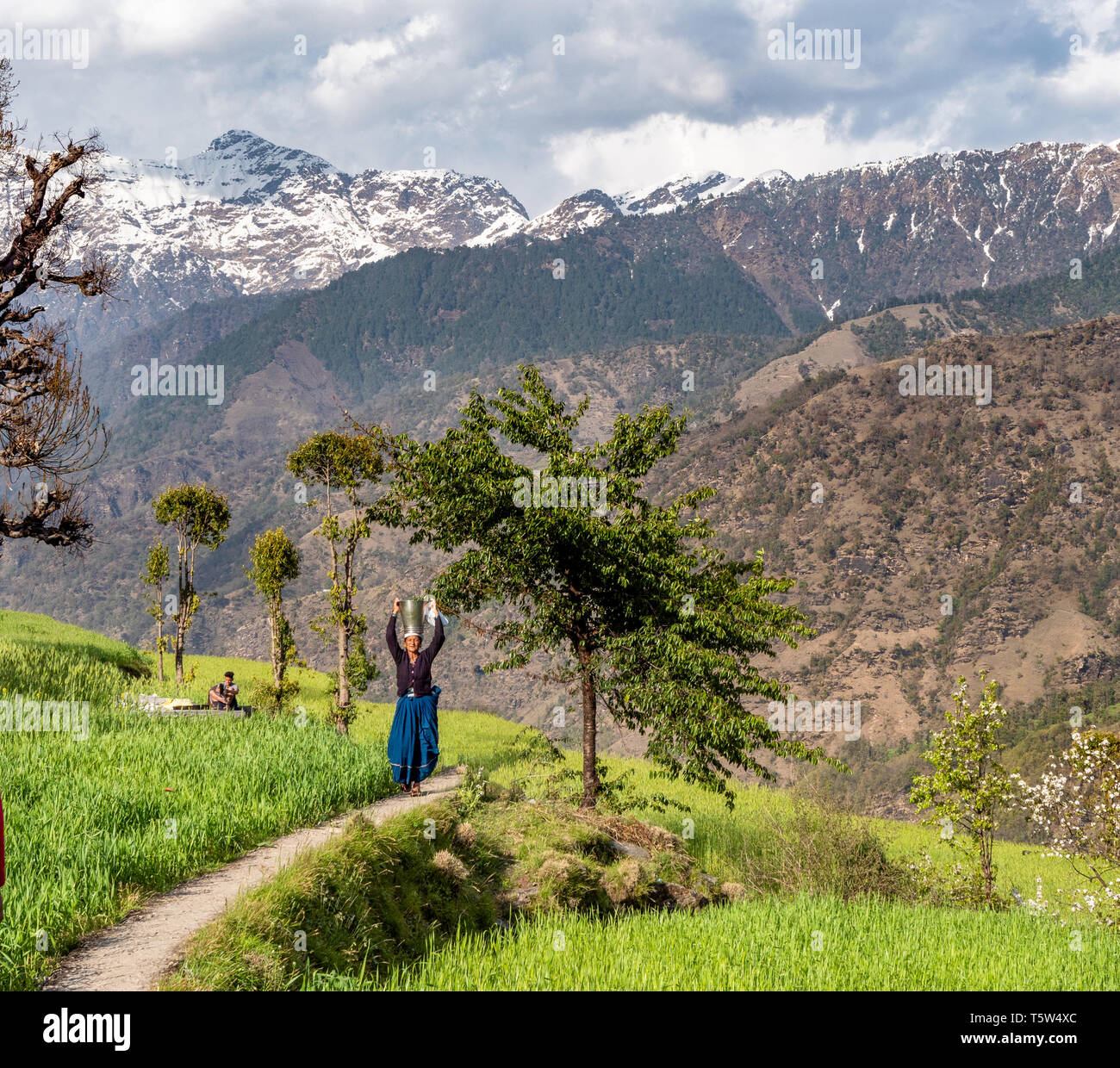 Woman carrying a heavy water container on her head through fields in the village of Supi in the Uttarakhand Himalayas of northern India Stock Photo