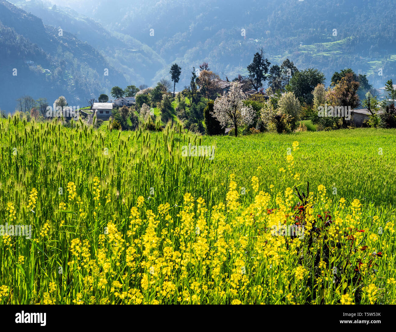 Supi village hi-res stock photography and images - Alamy