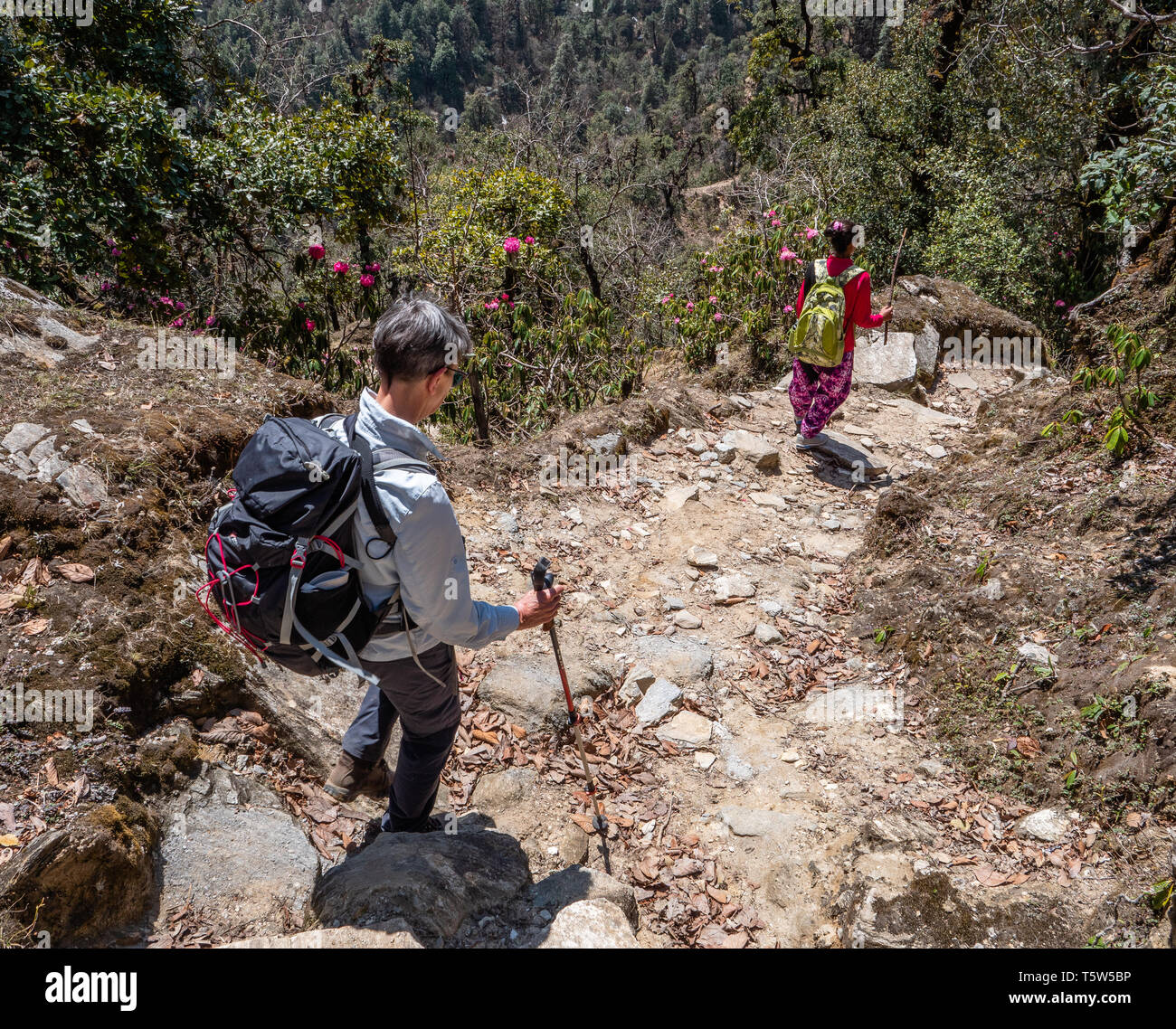 Mountain paths hi-res stock photography and images - Alamy