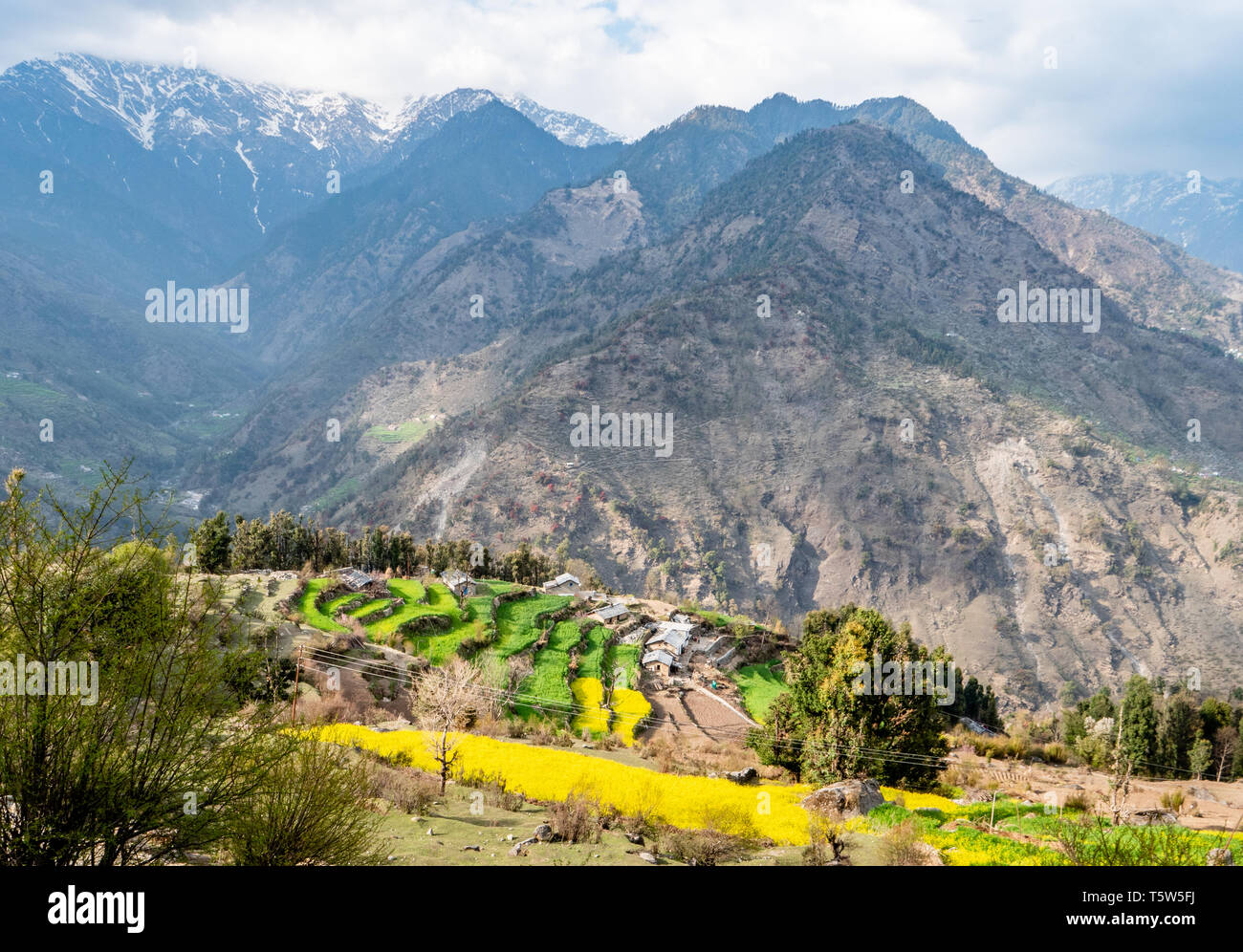 Terraced fields in the village of Dhurr in the Pindar Valley of Uttarakhand Northern India with mountains of the high Himalayas beyond Stock Photo