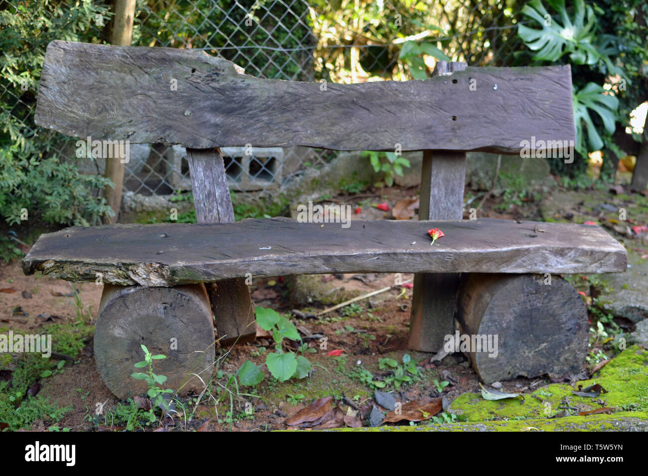 rustic bench with a fallen flower Stock Photo