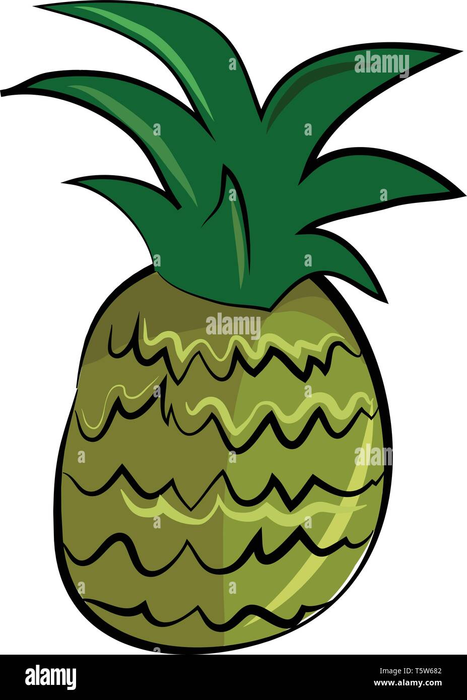 A fresh pineapple fruit vector or color illustration Stock Vector Image ...