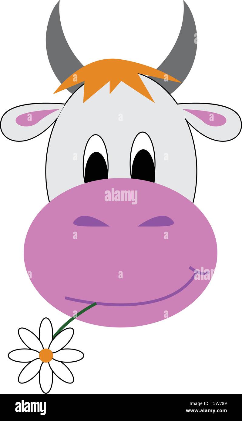 A white cow with two grey horns a pink nose chewing a flower vector color drawing or illustration Stock Vector