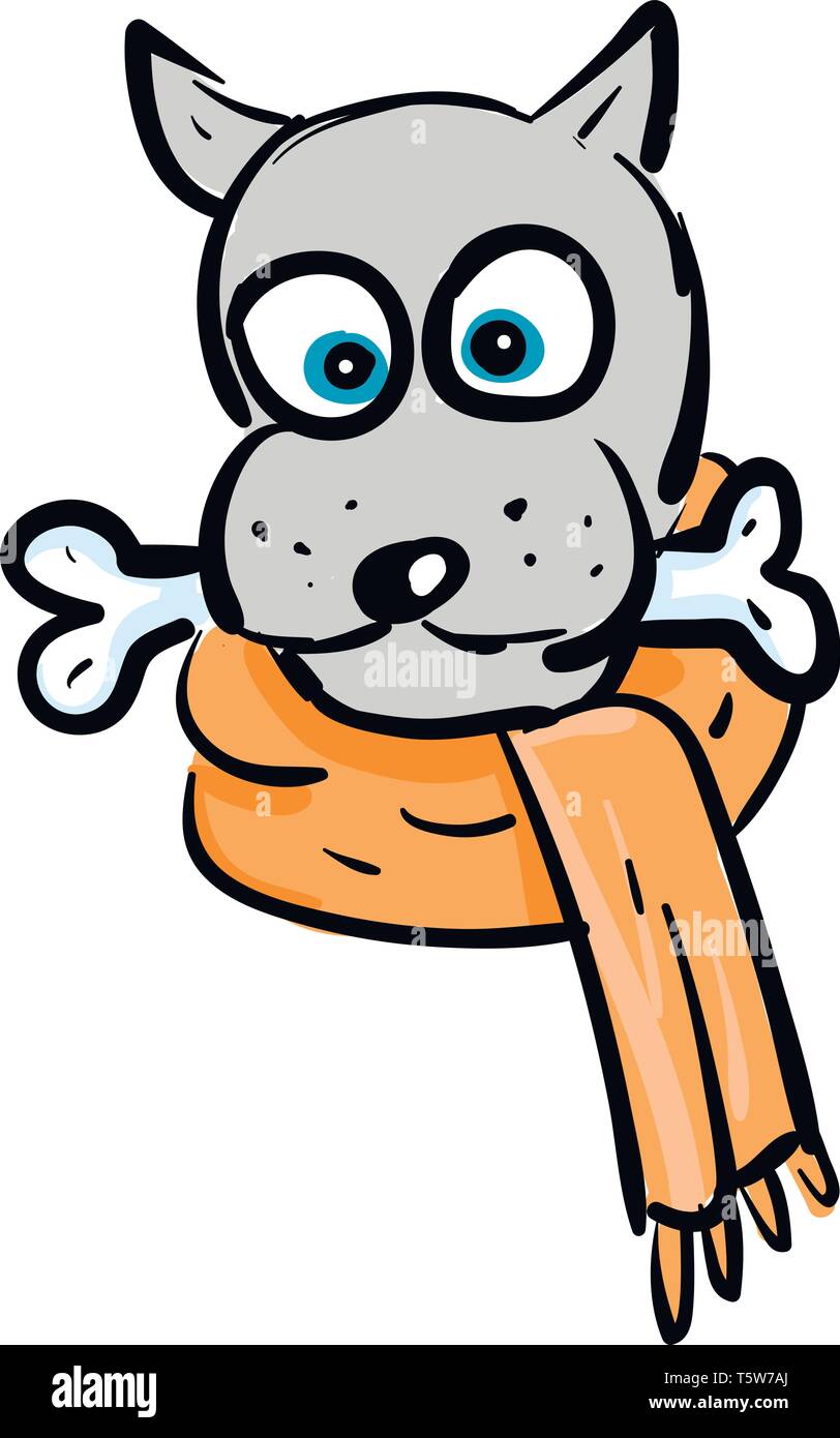 A grey dog with blue eyes is holding a bone in its mouth and wearing an orange scarf rounder neck vector color drawing or illustration Stock Vector