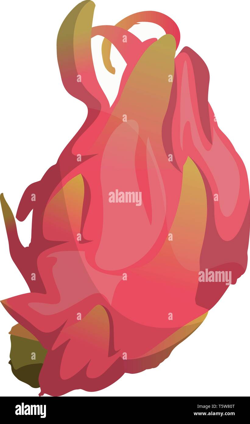 Cartoon pink dragonfruit vector illustration on white background. Stock Vector