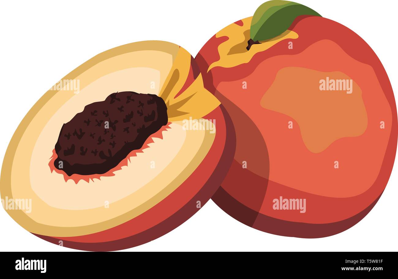 Cartoon of a orange red and yellow nectarine fruit with green leaf half