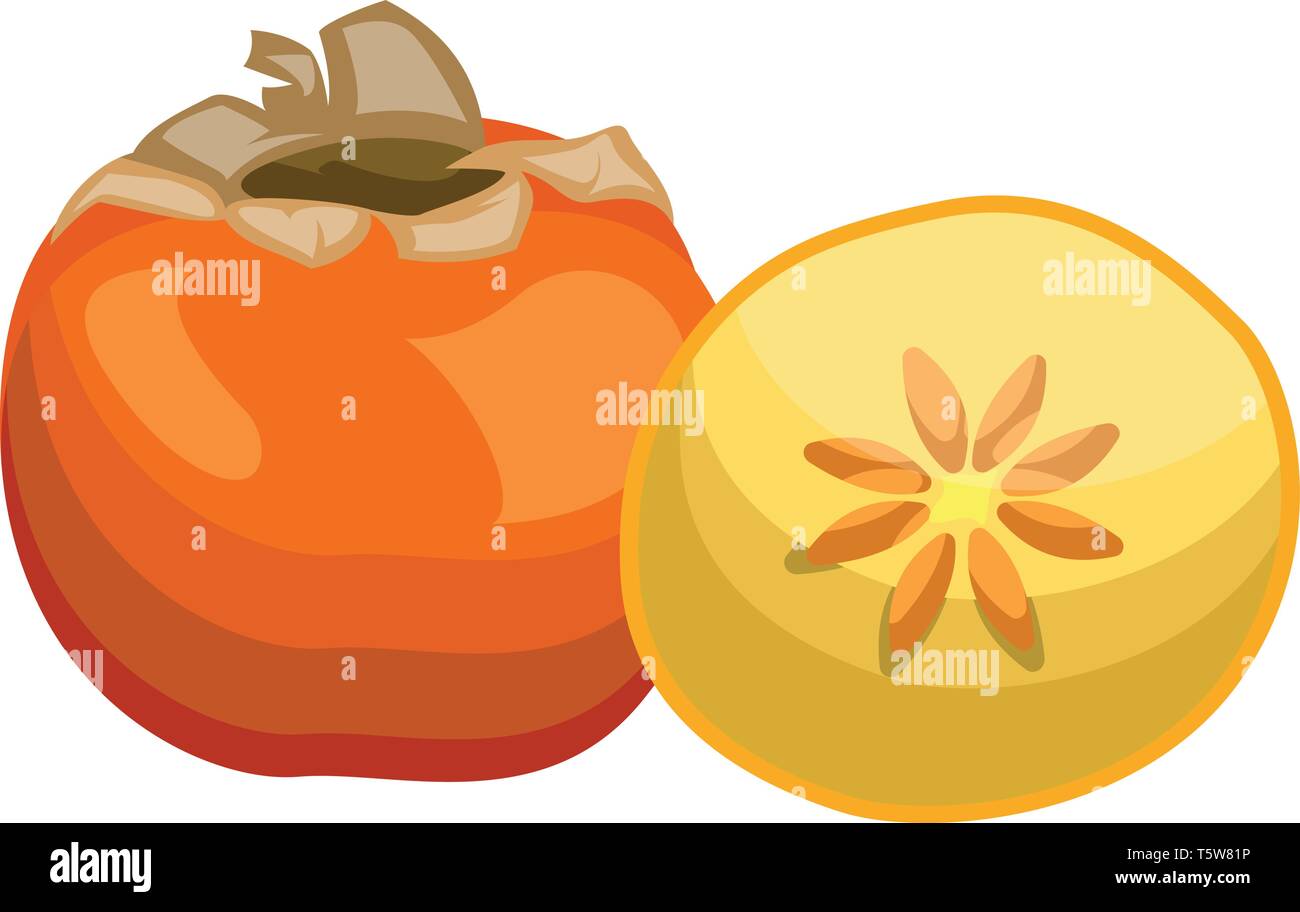 Cartoon Of An Orange Persimmon Fruit Half A Yellow Persimmon With Orange Seed Vector Illustration On White Background Stock Vector Image Art Alamy