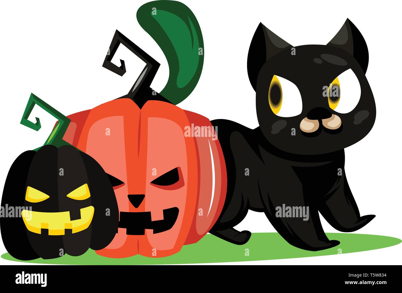 Two pumpkins and black cat vector illustration on white background ...