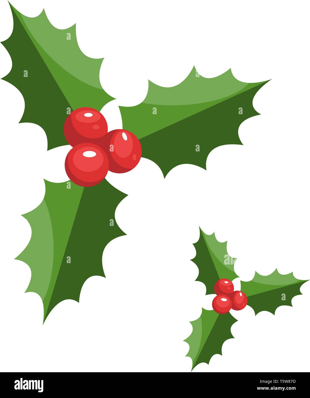 Pair of christmas berries vector illustration on a white background ...