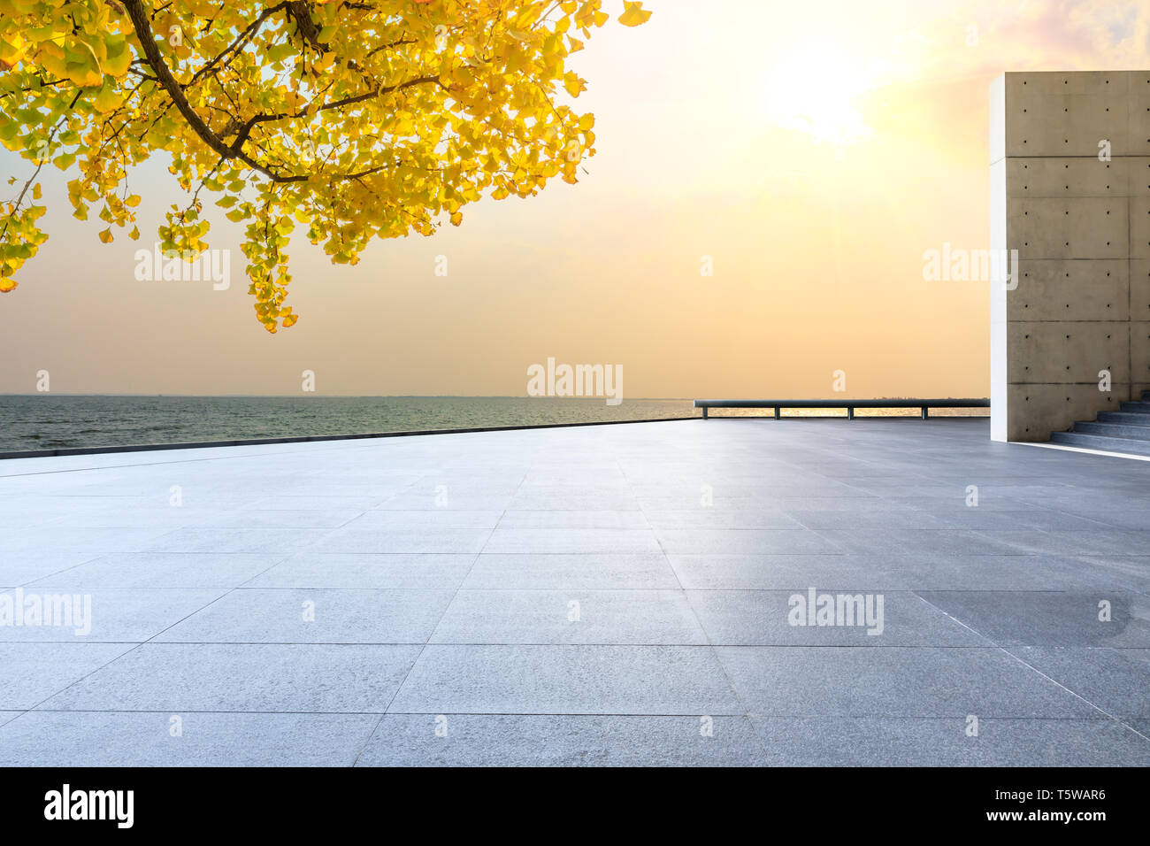Empty Square Floors And River With Yellow Ginkgo Background Stock