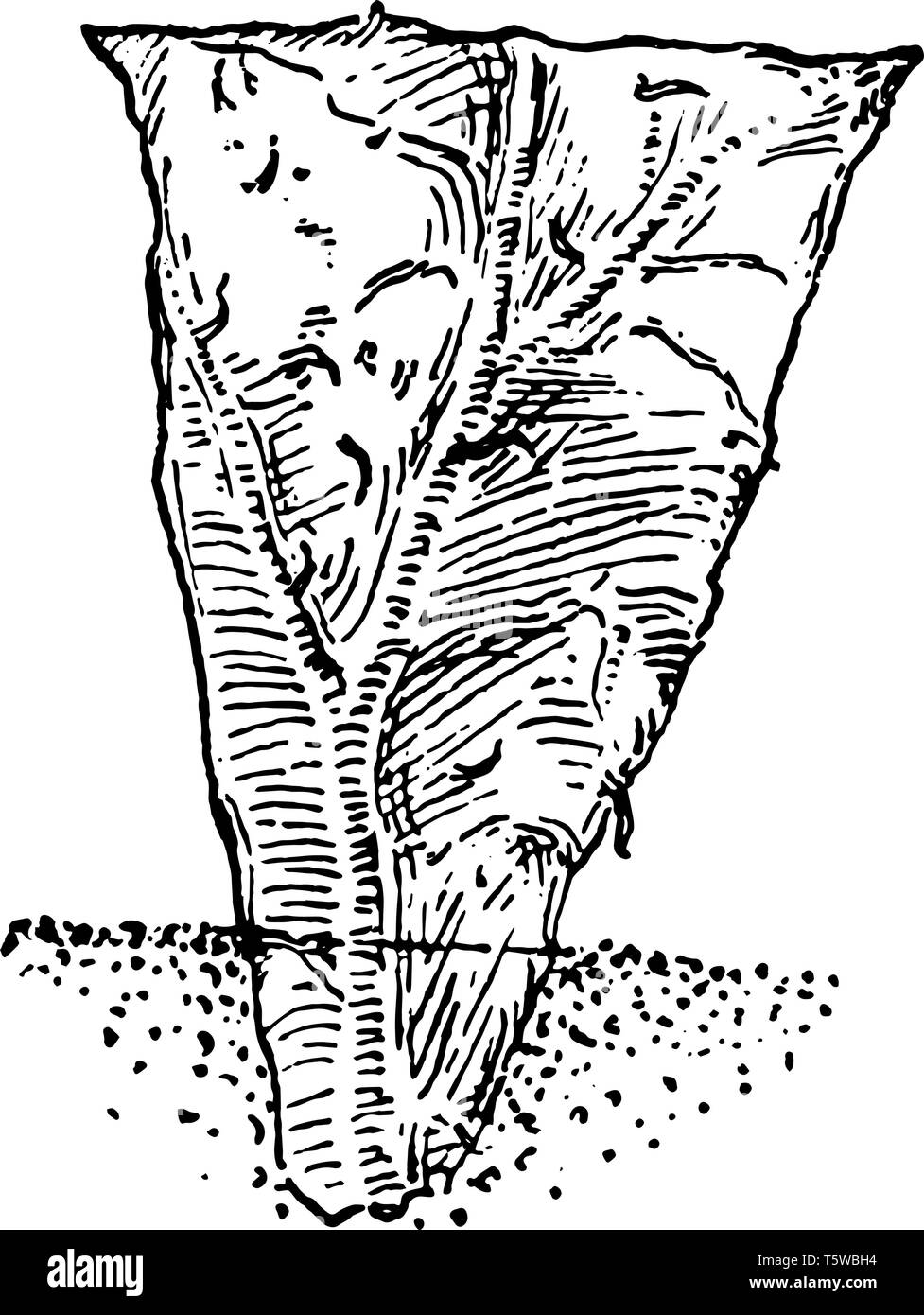 More leaf Stock Vector Images Alamy More leaf Stock Vector Images Alamy