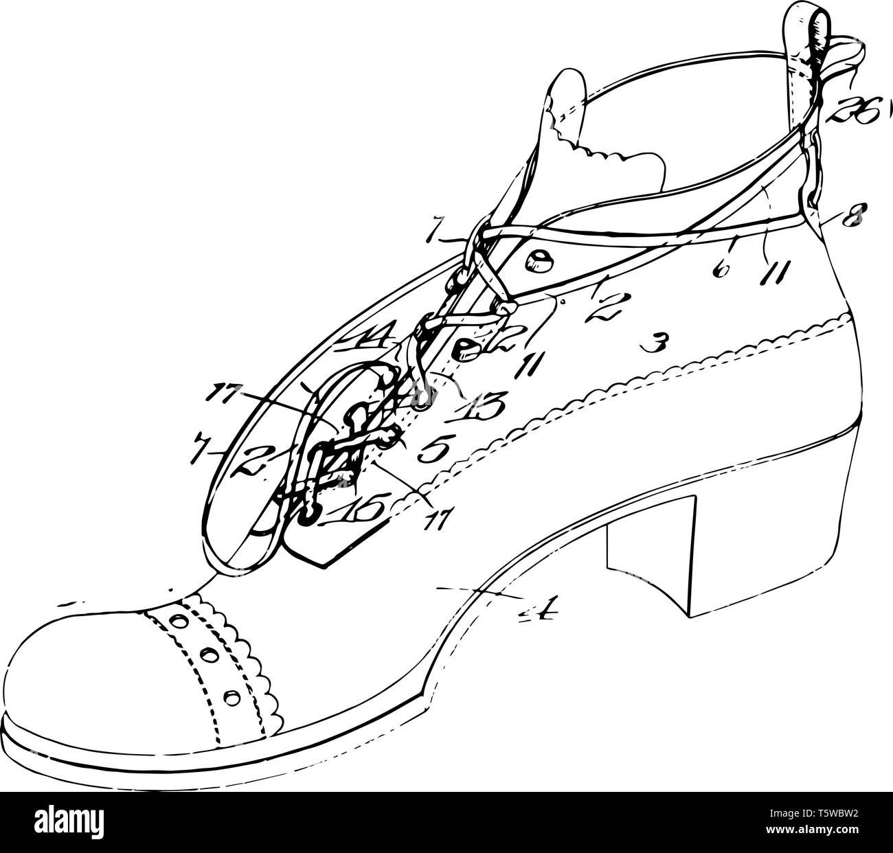 Laced Shoe was a part or device functions as a protective covering