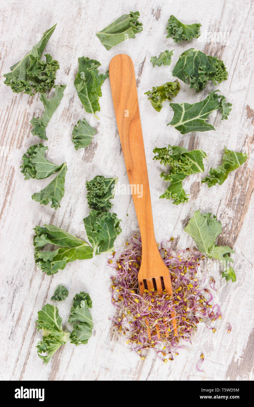 Fresh kale sprouts with wooden fork and green leaves of vegetable. Food