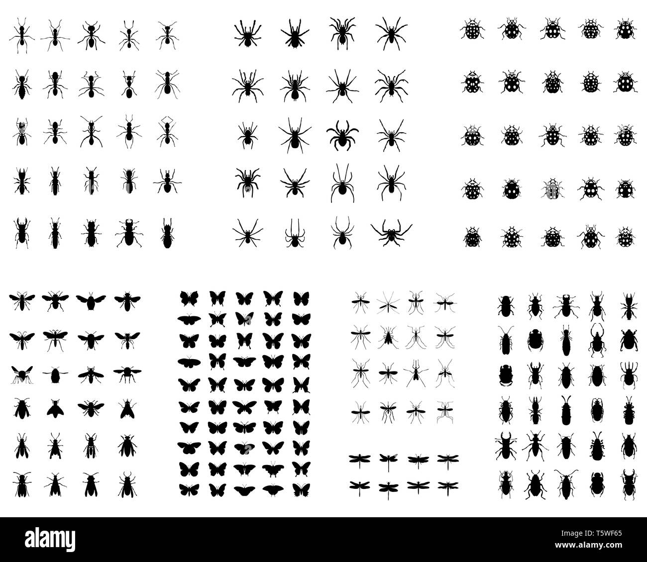 Black silhouettes of insects on white background Stock Photo