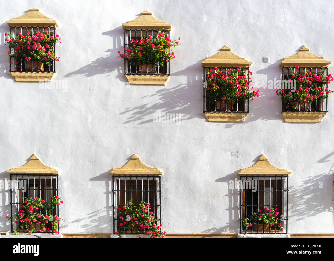 Multiple windows on a home with flowers and metal bars. Stock Photo