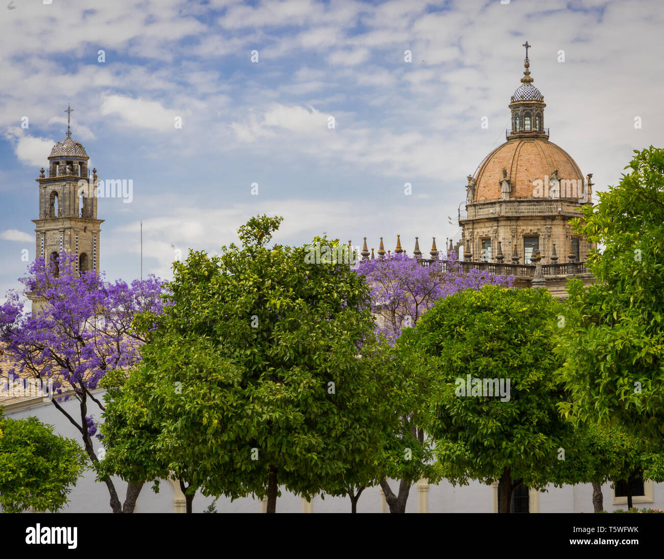 Catedral de san salvador hi-res stock photography and images - Alamy