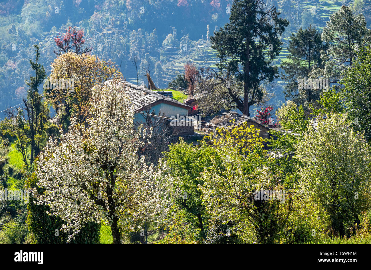 Supi village hi-res stock photography and images - Alamy